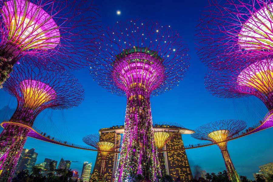 New Year 2025: Best Times to Book Singapore Travel Packages with Tripkaro